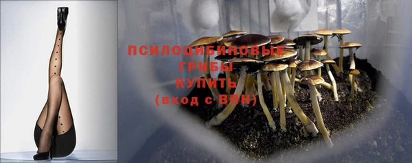альфа пвп Щигры