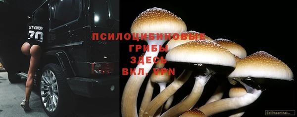 гашик Щёлкино