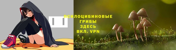 синтетический гашиш Нестеровская
