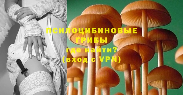 круглые Фёдоровский