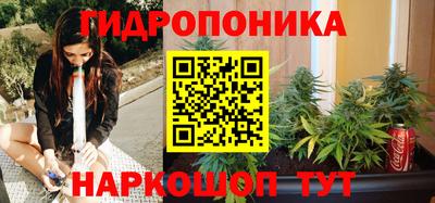 шишки Балаково