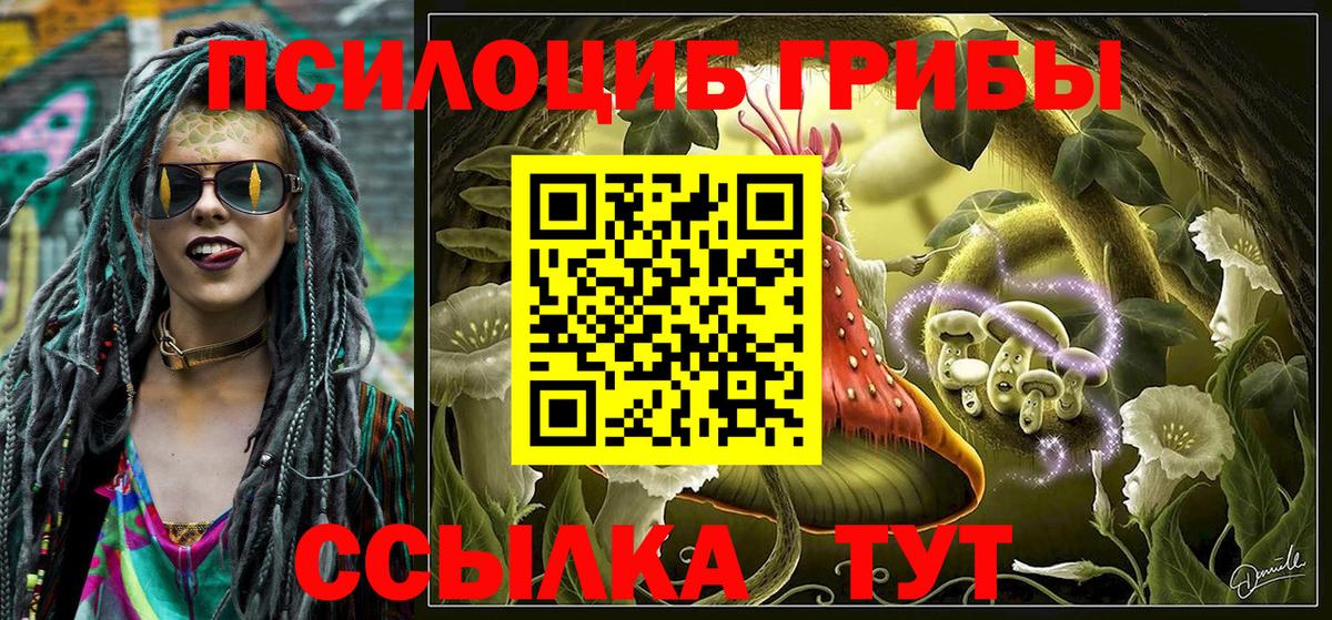 Галлюциногенные грибы Cubensis  Каспийск 