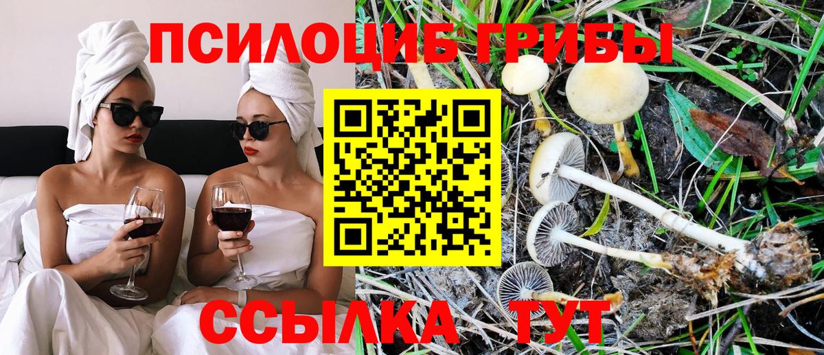 Каннабис  COCAIN  Меф МЯУ МЯУ   Метадон  ЭКСТАЗИ  Каспийск  ГАШ  A PVP СОЛЬ кристаллы  ГАШИШ  Вход с VPN 
