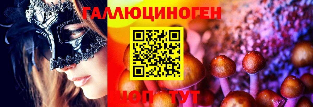 Каспийск  Псилоцибиновые грибы Cubensis  где найти   Вход с VPN 