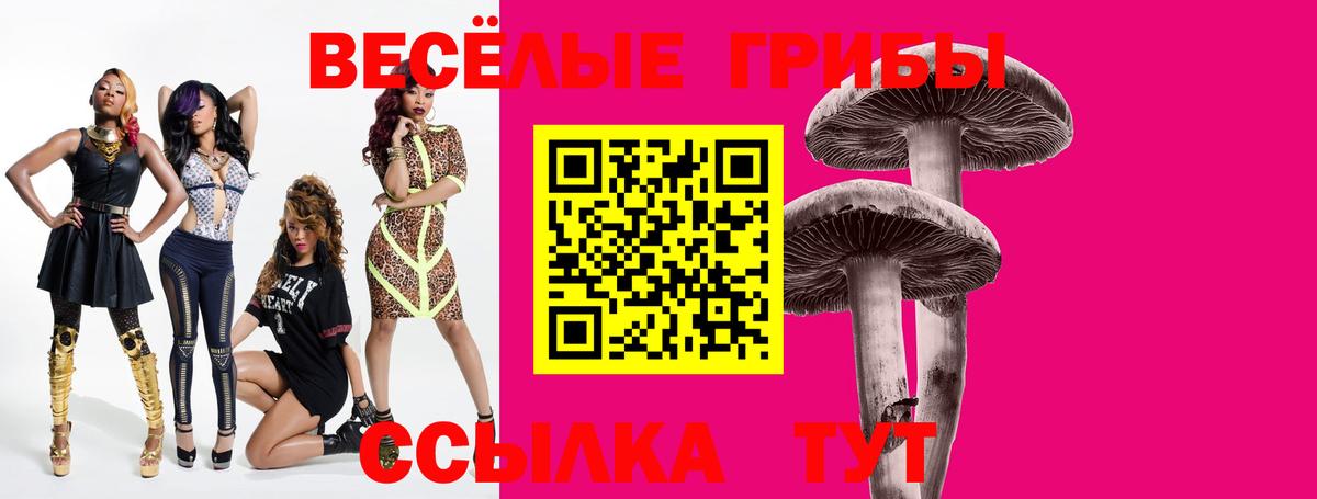 Псилоцибиновые грибы прущие грибы Каспийск