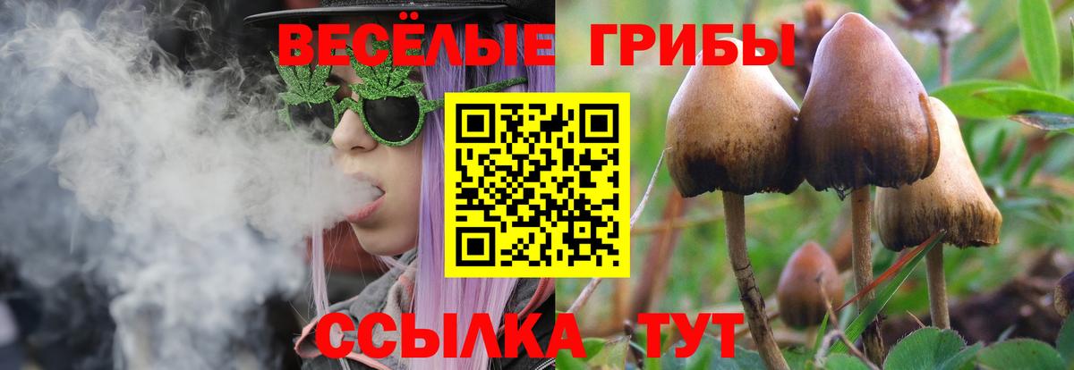 Галлюциногенные грибы прущие грибы Каспийск