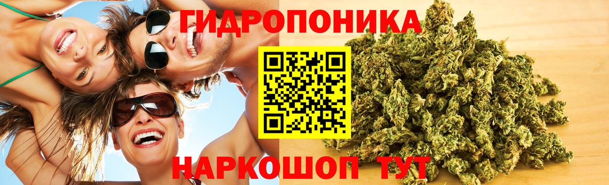 Бошки марихуана White Widow  Шишки марихуана планчик  Каспийск  Бошки марихуана VHQ  Каннабис гибрид 
